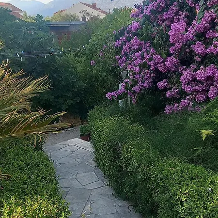 With Parking Space Cavtat, Dubrovnik - 2132 * Cavtat