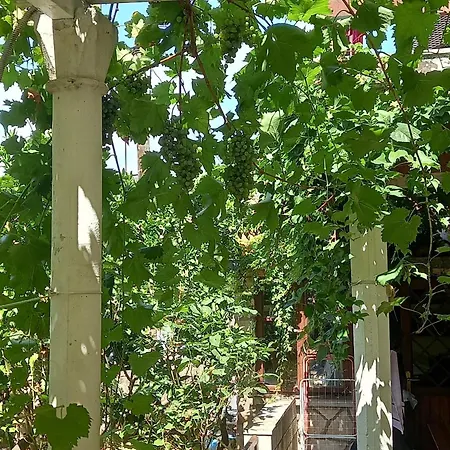 With Parking Space Cavtat, Dubrovnik - 2132 Cavtat