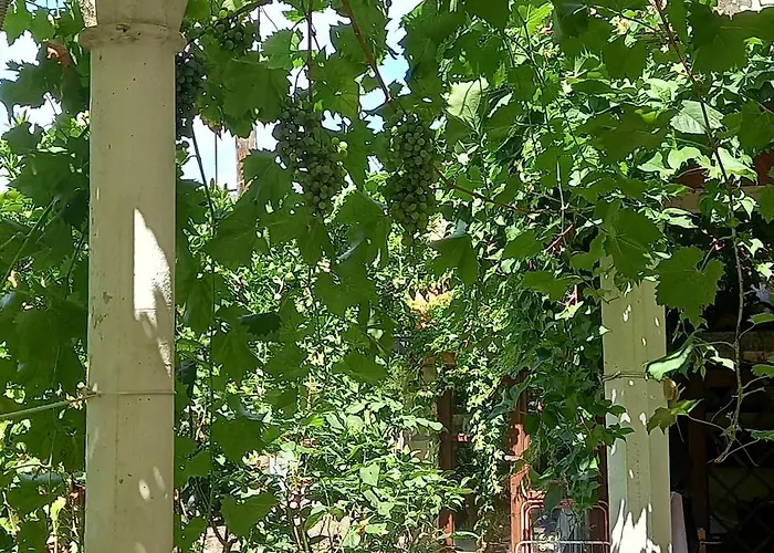 With Parking Space Cavtat, Dubrovnik - 2132 Cavtat